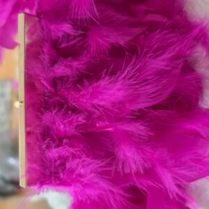 Vibrant Pink Feather Clutch
